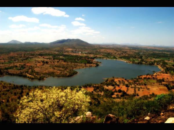 ಸೌತ್ ಅಮೆರಿಕಮ್ ಕಾಂಟಿನೆಂಟ್