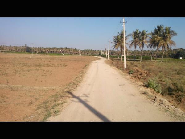 ಸ್ವಾಗತ ಕಮಾನು