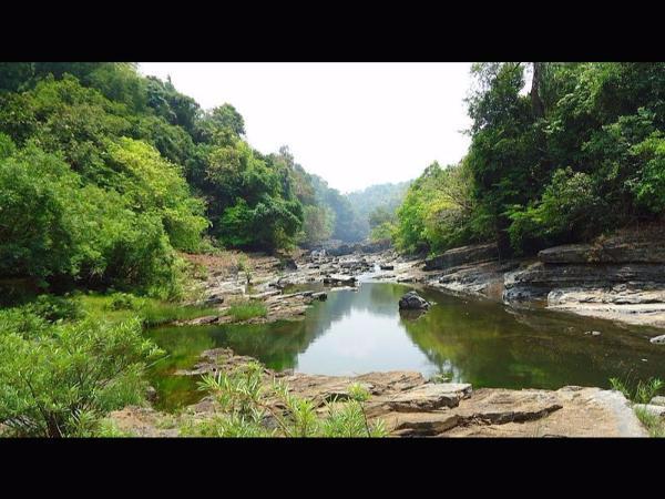 ಅರಣ್ಯ ಪ್ರದೇಶ