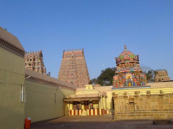 173 ಅಡಿಗಳಷ್ಟು! 