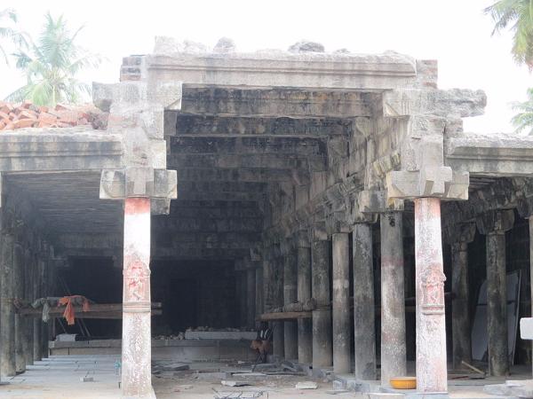 ಅಚ್ಚರಿ ಪಡಿಸುತ್ತವೆ