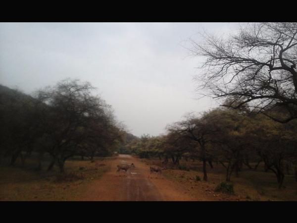 ನೆಚ್ಚಿನ ತಾಣ