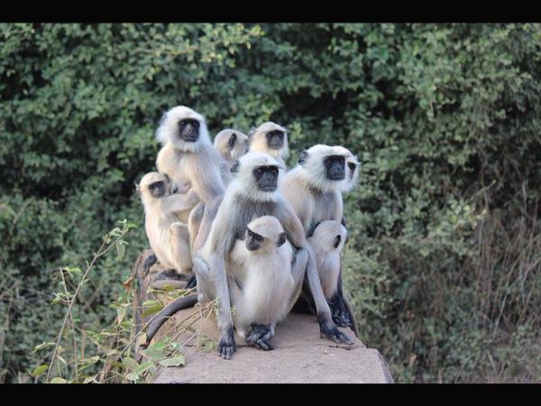 ಬಲು ಬಿಸಿಲು