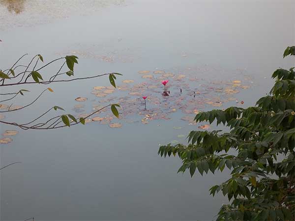 ಇಲ್ಲಿಯ ವಿಶೇಷ ಇಲ್ಲಿಯ ವಿಶೇಷ