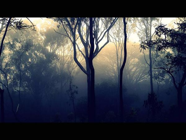 ಗಮನಸೆಳೆಯುತ್ತವೆ ಗಮನಸೆಳೆಯುತ್ತವೆ