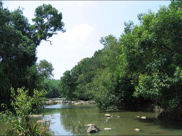 ನಿಶ್ಚಿಂತೆಯಿಂದ