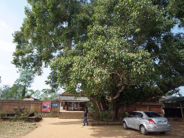 ನಂತರ ಪುಲ್ಪಲ್ಲಿಗೆ ಬನ್ನಿ