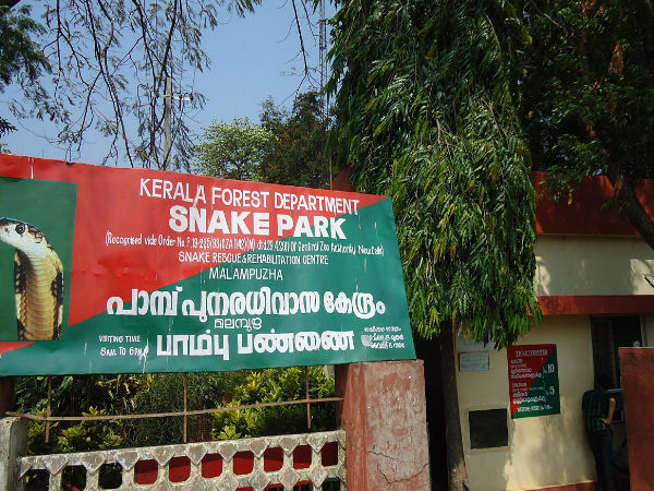 ಹಸಿರು ಸಿರಿಯಲ್ಲಿ ಮನಸ್ಸು ಮೆರೆಯಲಿ