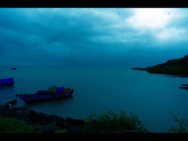 ಹುಣಸೆ ಮರಗಳು