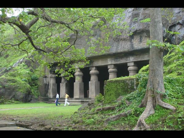 ಪಕ್ಷಿವೀಕ್ಷಣೆ