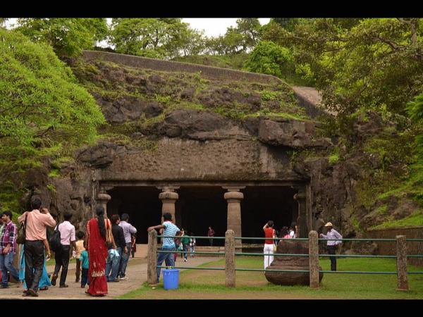 ಮ್ಯಾಂಗ್ರೋವ್ ಗಿಡಗಳು