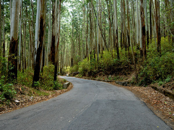 ಬೆಂಗಳೂರು-ಕುಣ್ಣೂರು