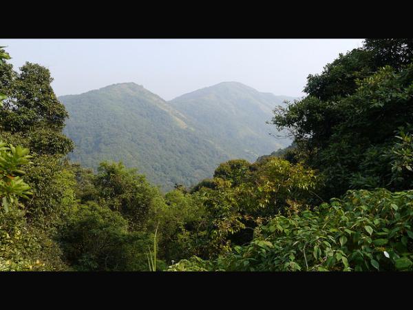 ಬಂದು ನೆಲೆಸುತ್ತಾನೆ