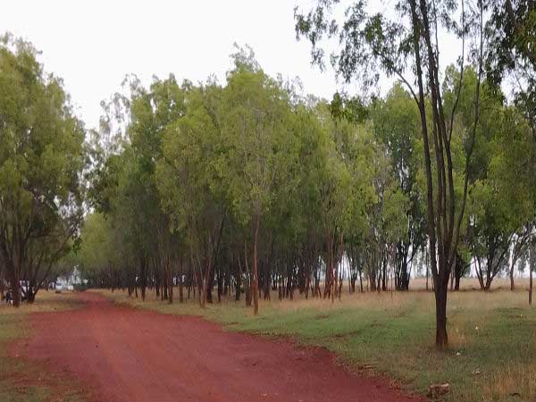 ಹಸಿರಾಗಿದೆ ಹೆಸರಘಟ್ಟ... ಬೈಕ್ ಹತ್ತಿ ಹೊರಡ್ರಪ್ಪ...