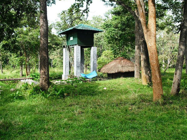 Road trip from Bangalore to Wayanad