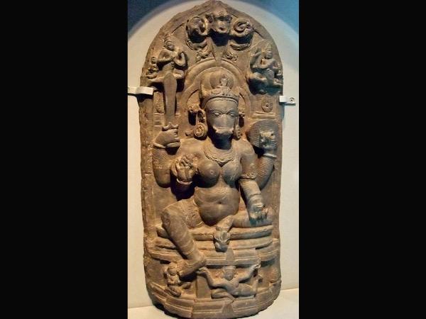 ದಿನಕ್ಕೊಂದು ಮೀನು ತಿಂದು ಹರಸುವ ವರಾಹಿ!