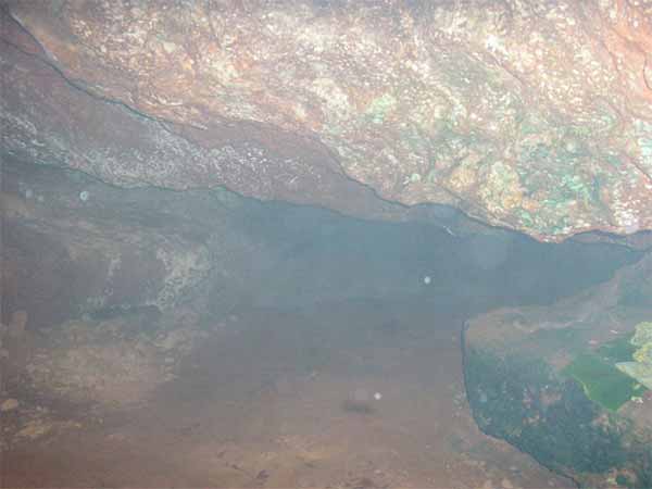 ನೆಲ್ಲಿ ತೀರ್ಥ ಗುಹಾಲಯ ನೆಲ್ಲಿ ತೀರ್ಥ ಗುಹಾಲಯ