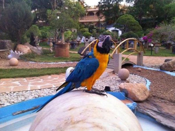 ನಾದ ಮಂಟಪ