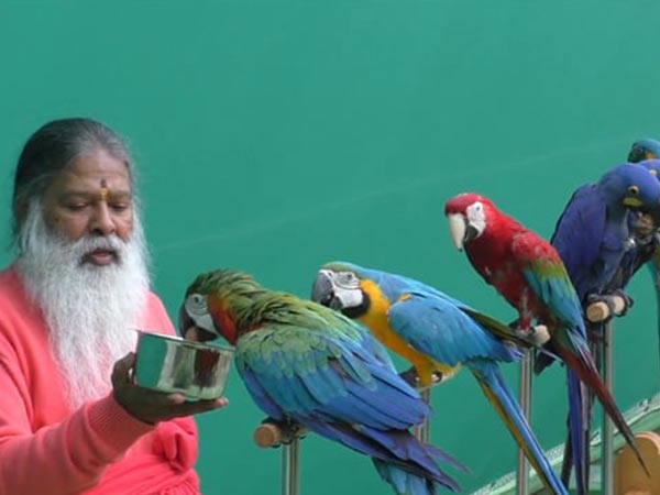 ಹೆಚ್ಚಿನ ಮಾಹಿತಿಗೆ