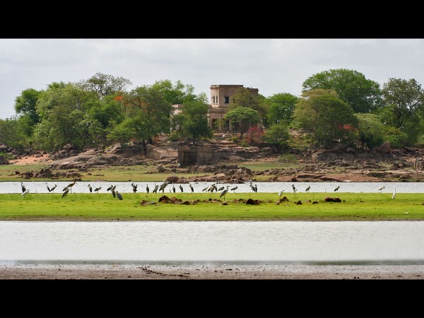 ಪೋಚರಂ ಅಭಯಾರಣ್ಯ ಮತ್ತು ಅಣೆಕಟ್ಟು