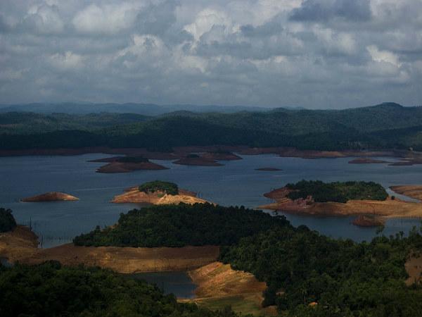 ಹೊನ್ನೇಮರಡು