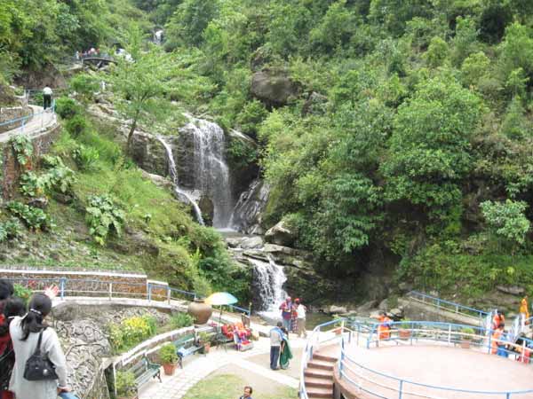 ಕಲ್ಲಲ್ಲಿ ಅರಳಿರುವ ಸುಂದರ ಉದ್ಯಾನಗಳು