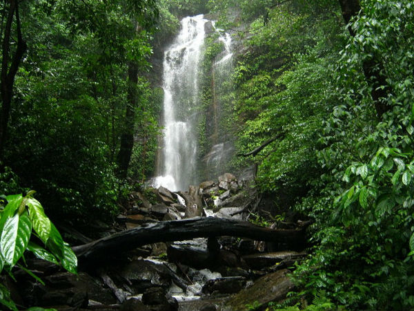 11. ಹಿಡ್ಲುಮನೆ ಜಲಪಾತ 11. ಹಿಡ್ಲುಮನೆ ಜಲಪಾತ