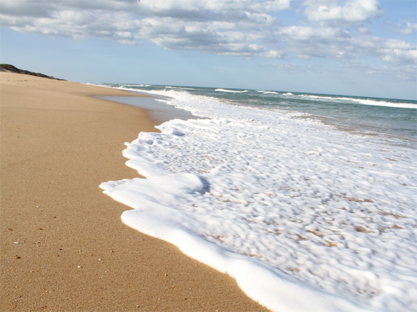 ಪ್ಯಾರಡೈಸ್ ಸಮುದ್ರ ತೀರ