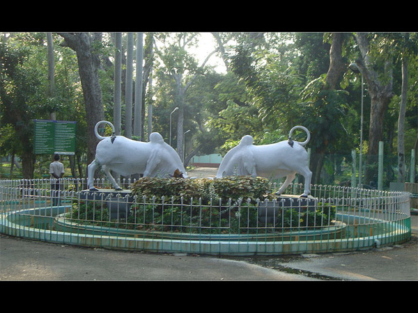 ಬಟಾನಿಕಲ್ ಉದ್ಯಾನ