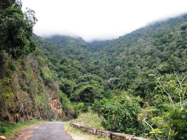 ಬೆಂಗಳೂರು-ಊಟಿ