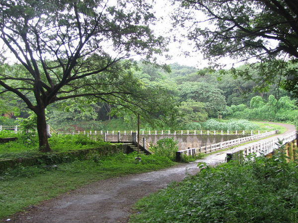 Chimmini Wildlife Sanctuary