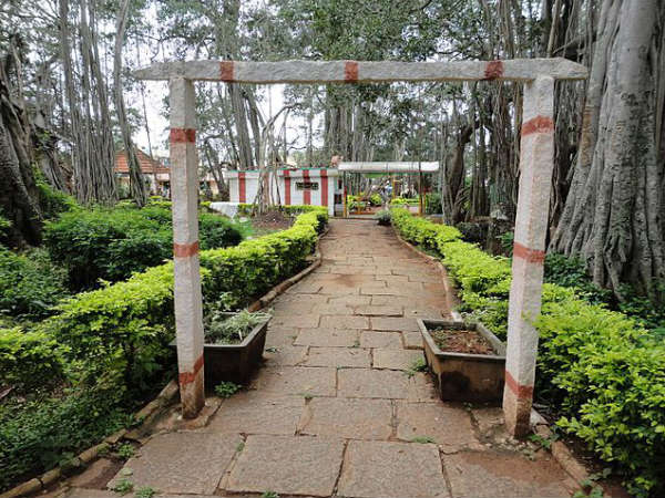 The Big Banyan Tree Bangalore