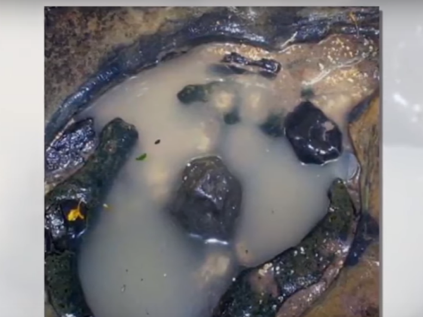 ನೆಲದ ಮೇಲಿದೆ ಶಿವಲಿಂಗ