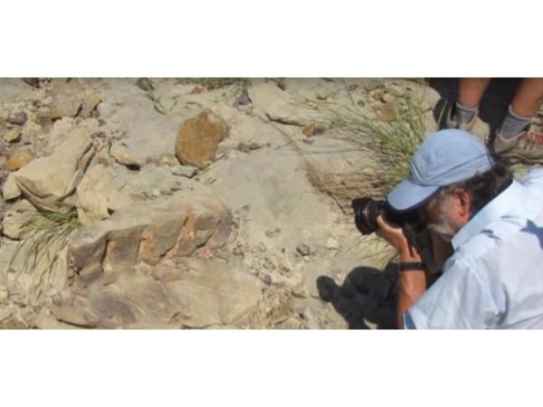 ಎಲ್ಲಿ ಹೋದರು?