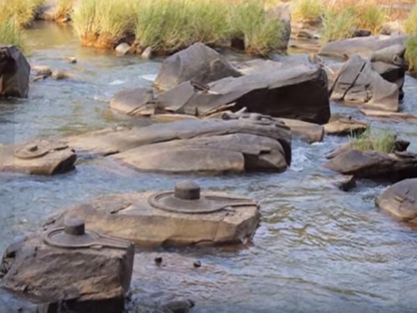 ಶಿವರಾತ್ರಿ ಶಿವರಾತ್ರಿ