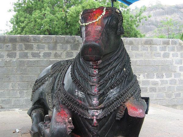 ನಂದಿ ನಂದಿ