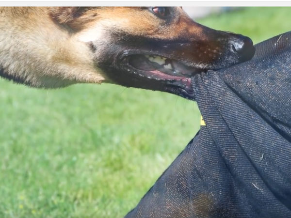 ಏನಾಗಿತ್ತು?