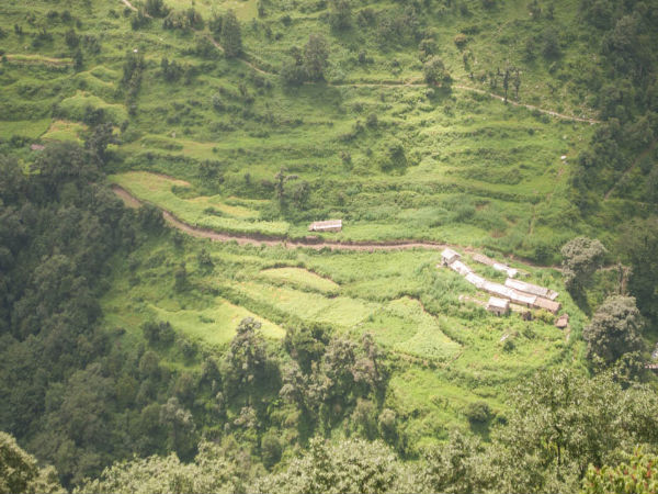 ಟ್ರಿಕ್ಕಿಂಗ್