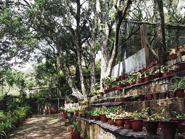 ಆರ್ಕಿಡಾರಿಯ೦ ಮತ್ತು ರೇಷ್ಮೆ ಪಾರ್ಮ್ (Orchidarium And Silk Farm)