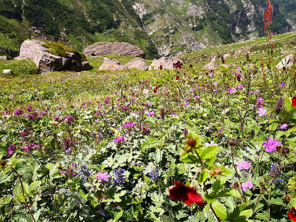 ಪಿನ್ ಪಾರ್ವತಿ ವ್ಯಾಲಿ ಟ್ರೆಕ್