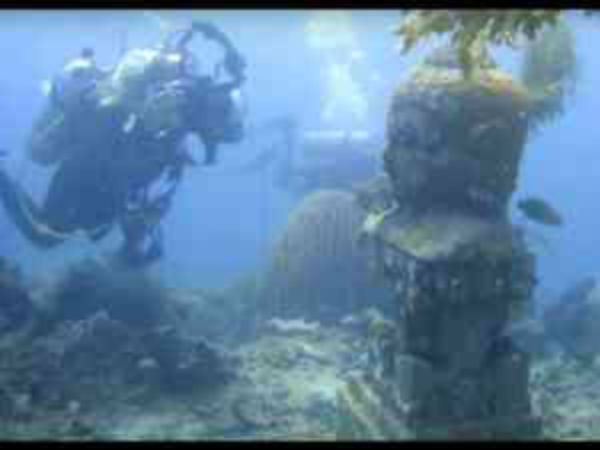 ಟೆಂಪಲ್ ಗಾರ್ಡನ್