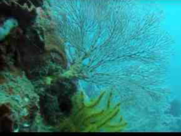 ಅರ್ಕಿಯಾಲಜಿ ಡಿರ್ಪಾಟಮೆಂಟ್ 