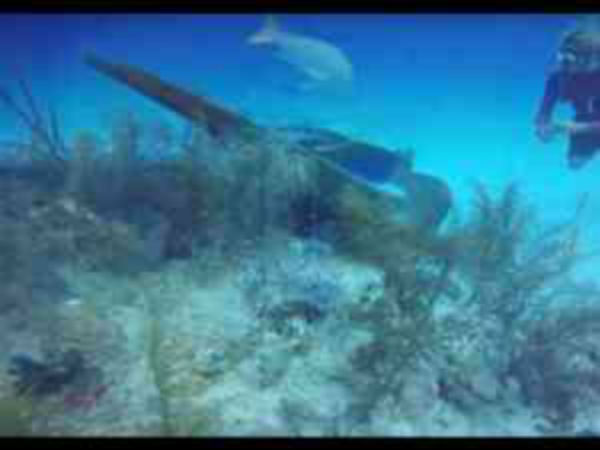 ಸಂಶೋಧನೆ