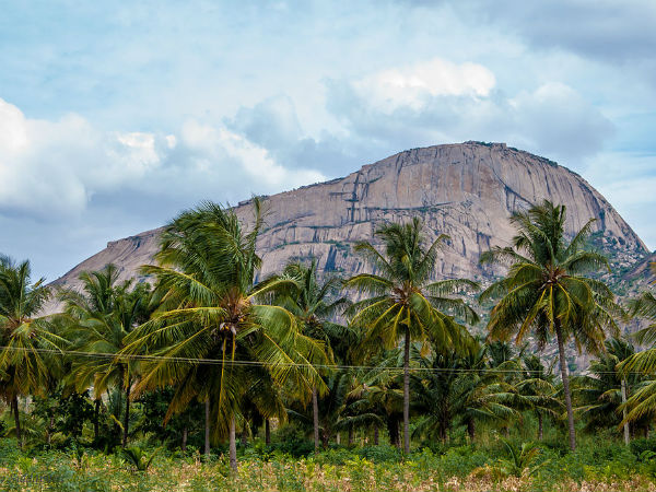 ತಲುಪಬೇಕಾದ ತಾಣ: ಮಧುಗಿರಿ 