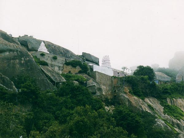 ತುಮಕೂರಿನಲ್ಲಿರುವ ದೇವರಾಯನದುರ್ಗ