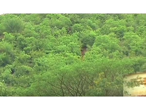 ಮುಸ್ಲಿಂರು ಮುಸ್ಲಿಂರು
