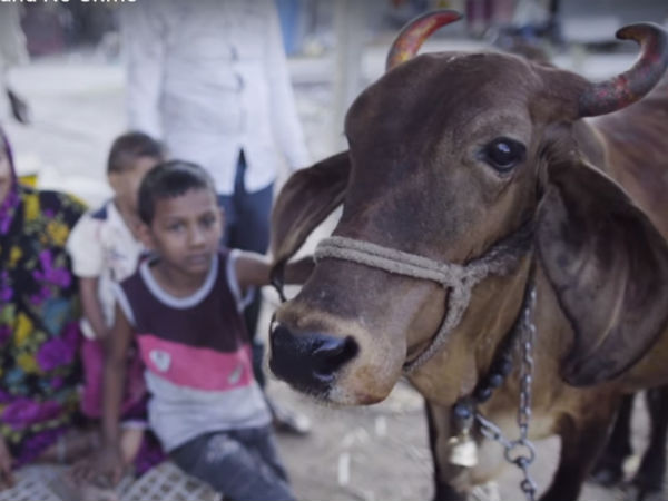 ತೈಲಾಭಿಷೇಕ