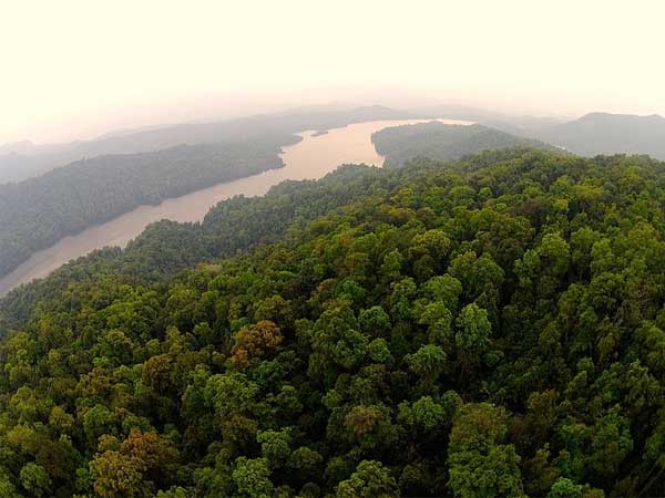 ಶರಾವತಿ ವನ್ಯಜೀವಿ ಅಭಯಾರಣ್ಯ