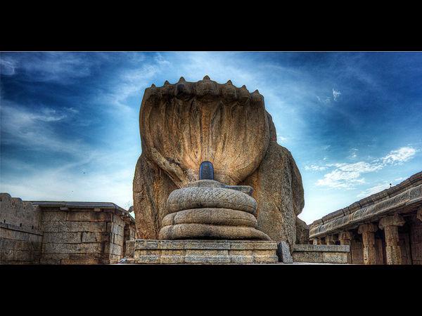 ನಾಗಲಿಂಗ