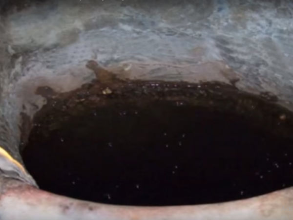 ಗೋರಕ್ ಡಿಬ್ಬಿ ಗೋರಕ್ ಡಿಬ್ಬಿ